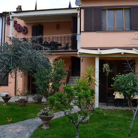 B&B Cribo San Giuliano Terme Exterior foto